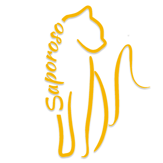 Saoroso Logo